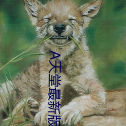 vwin·德赢(中国) - 官方网站