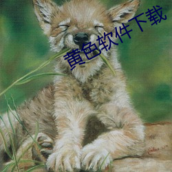 黄色软件下载