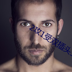 2攻1受双插头(頭)三明治