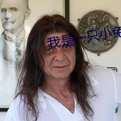 我是一只小兔子(子)作(作)文