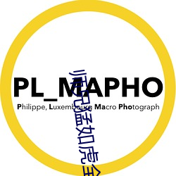 尊龙凯时·(中国)官方网站