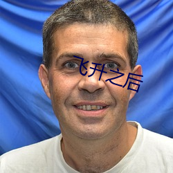 飞升之后