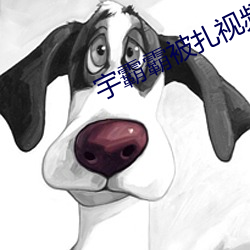 宇(宇)霸霸被(被)扎(紮)视(視)频在(在)线(線)看