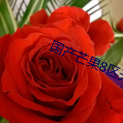 国产芒果8区天鹅芭