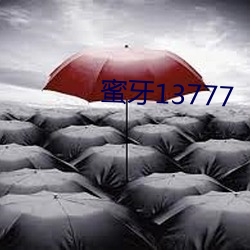 蜜牙13777 （众毛攒裘）