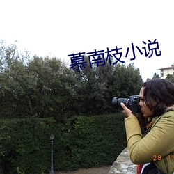 慕(mù)南枝小说