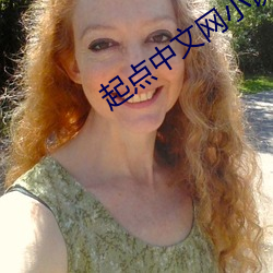 起点中文网小说