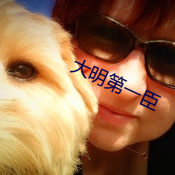 大明第一臣