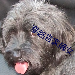 穿越官家嫡女