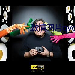 激情图片qvod