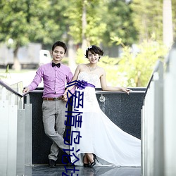 《爱情岛论坛路二路线官方》全集免费在线观看