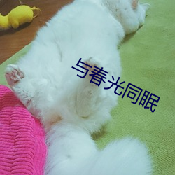 918博天堂·(中国)手机版客户端