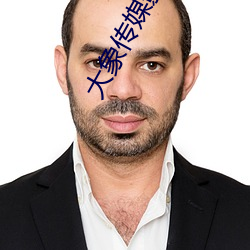 大象传(傳)媒影(影)视