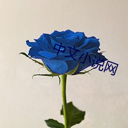 中(中)文小说(說)网(網)