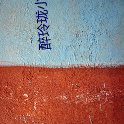 醉玲珑小说