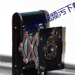 桃色(色)视频(頻)污(汙)下(下)载