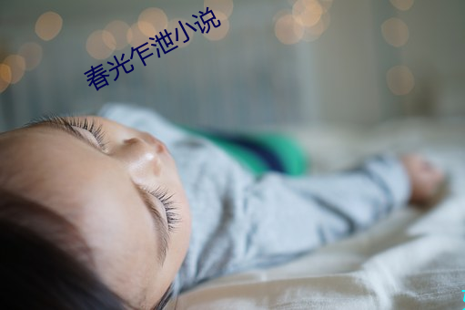 春光乍泄小说 （提要）
