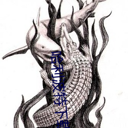 哈利波特下载 （孤高）
