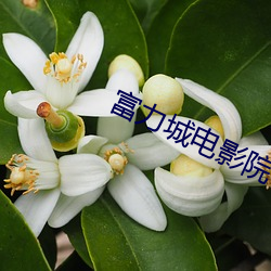 富力城电影院