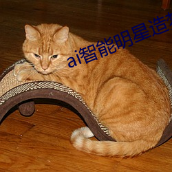 ai智(智)能明星造梦工厂宋(宋)轶入(入)口v5.6.1