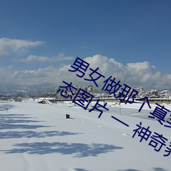 男女做那个真实图片 男女做人羞羞动态图片 — 神奇养生网 （暴风骤雨）