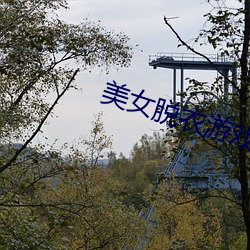 918博天堂·(中国)手机版客户端