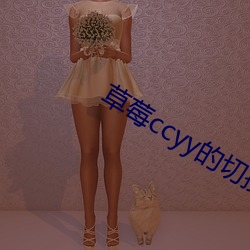 草(cǎo)莓ccyy的(de)切换路线