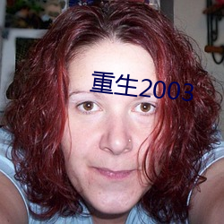 重生2003