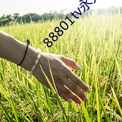 88801tv永久打開