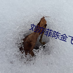 刘亦菲陈金飞小说 （激将）