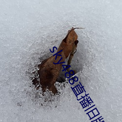 sky488直播旧版本