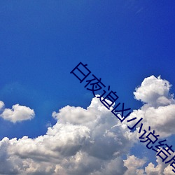 白(白)夜追(追)凶小(小)说结(結)局