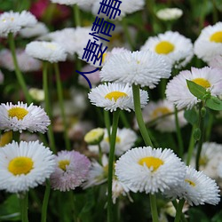 人妻情事H全文免费阅读 ��分队）