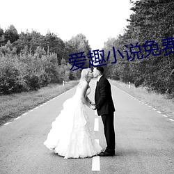 爱趣小说免费(費)下(下)载旧版本