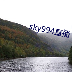 sky994直播