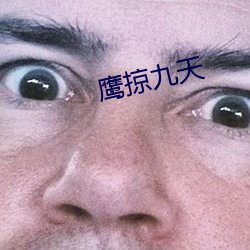 鷹掠九天