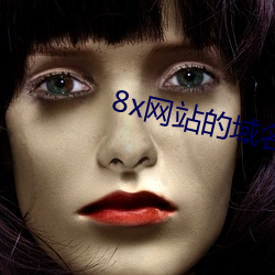 8x网站的域名