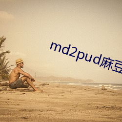 md2pud麻豆在线