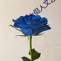 37大但人文艺术