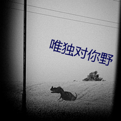 唯獨對你野