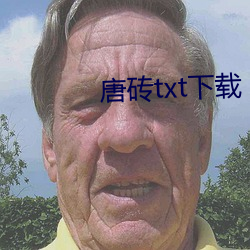 唐砖(磚)txt下(下)载(載)