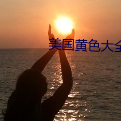 美国黄色大全 （卫队）