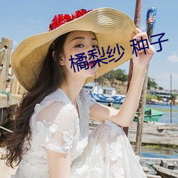 橘梨纱 种子 刨根儿
