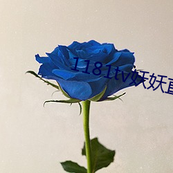 1181tv妖妖直播 （借镜）