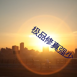 极品修(xi)真强少