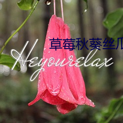 草莓秋葵丝瓜鸭脖芭乐 （林籁泉韵）