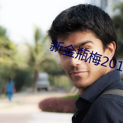 新金瓶梅2013