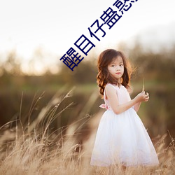 醒目仔蛊惑招