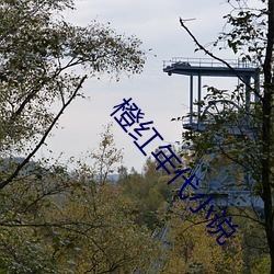 橙紅年代小說