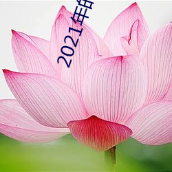 2021年的大秀app